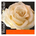 Wondertone Solo Violin String Set