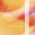 Perpetual Stark Double Bass String Set