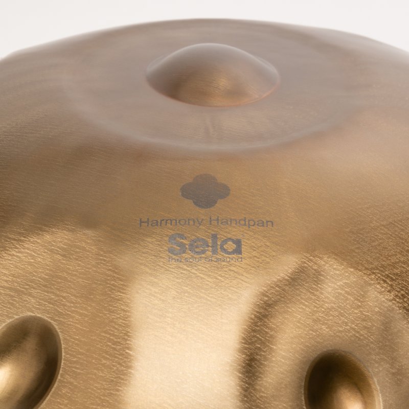 Sela Percussion - Harmony Handpan D Sabye With Nylon Carrying Bag, Stainless Steel