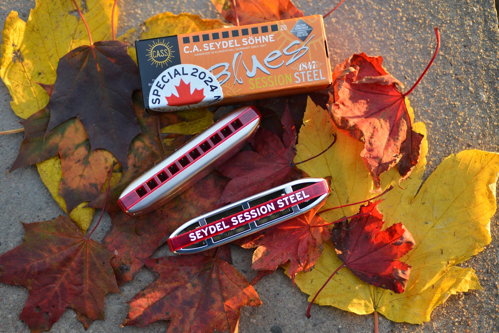 Session Steel Canadian Harmonica (Anniversary Edition)