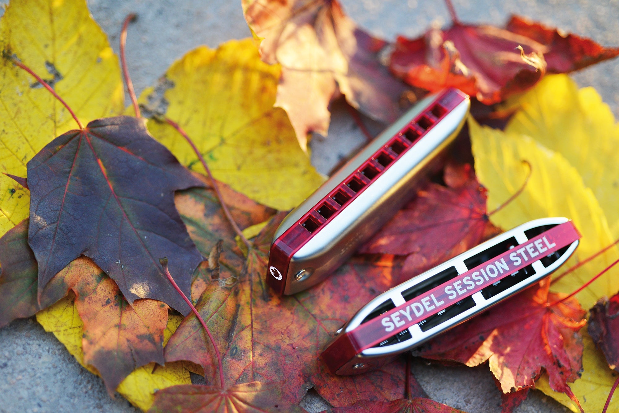 Session Steel Canadian Harmonica (Anniversary Edition)