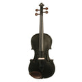 Harlequin Coloured Violin Outfit