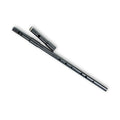 Flute + Whistle Duo