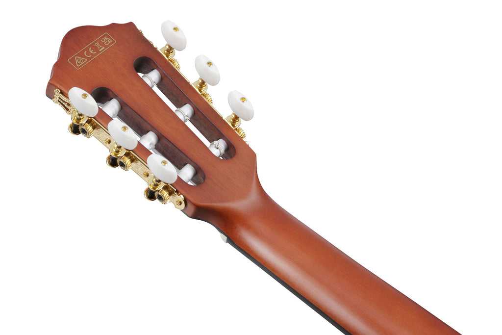 Ibanez Guitars - FRH10NNTF - Compact Nylon-String Guitar