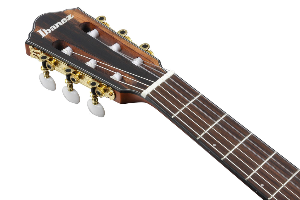 Ibanez Guitars - FRH10NNTF - Compact Nylon-String Guitar
