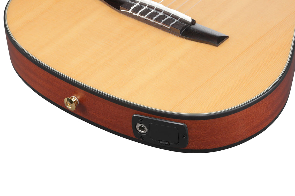 Ibanez Guitars - FRH10NNTF - Compact Nylon-String Guitar