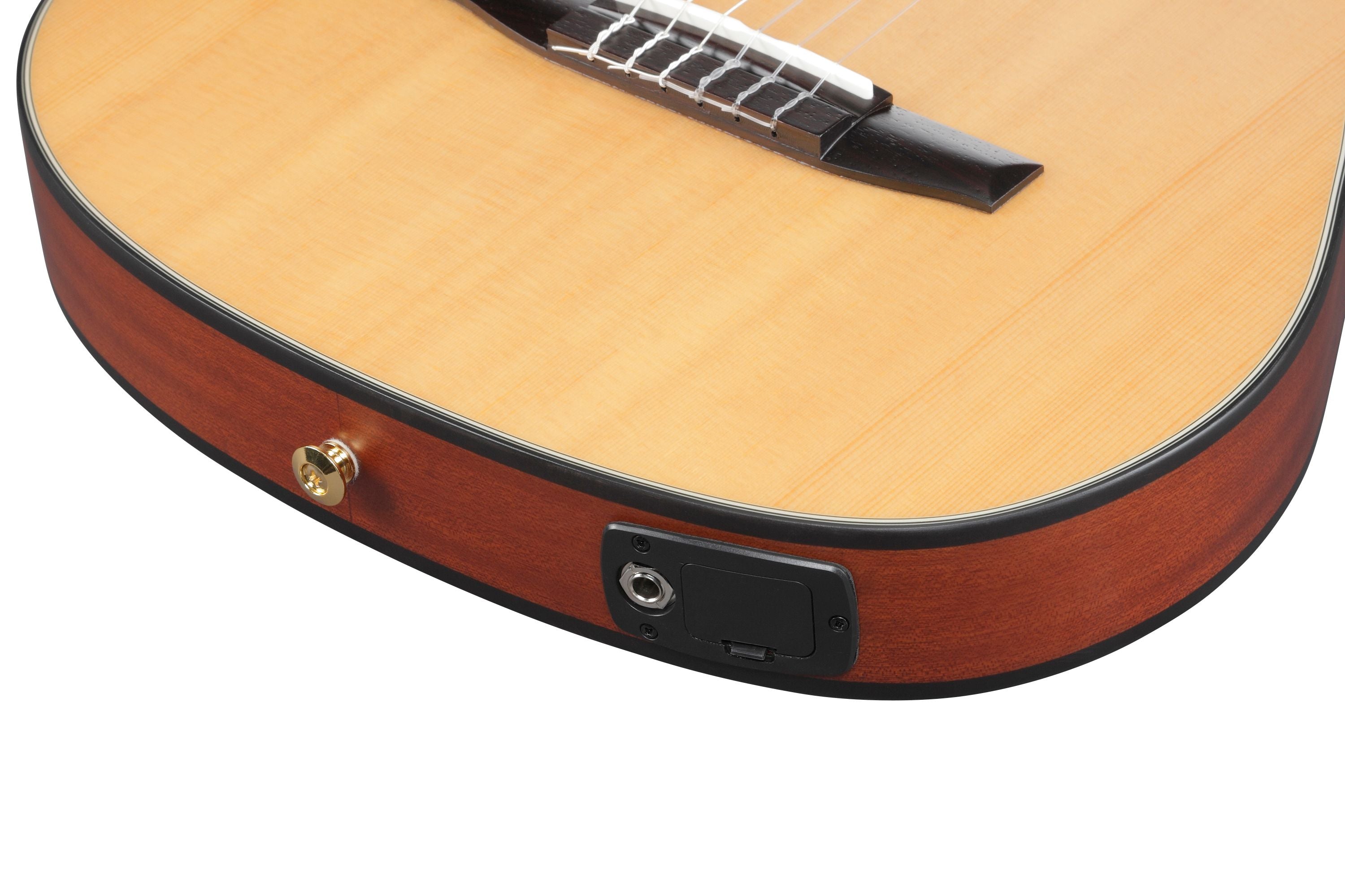 Ibanez Guitars - FRH10NNTF - Compact Nylon-String Guitar