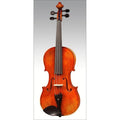 ARS - Advanced Violin Outfit