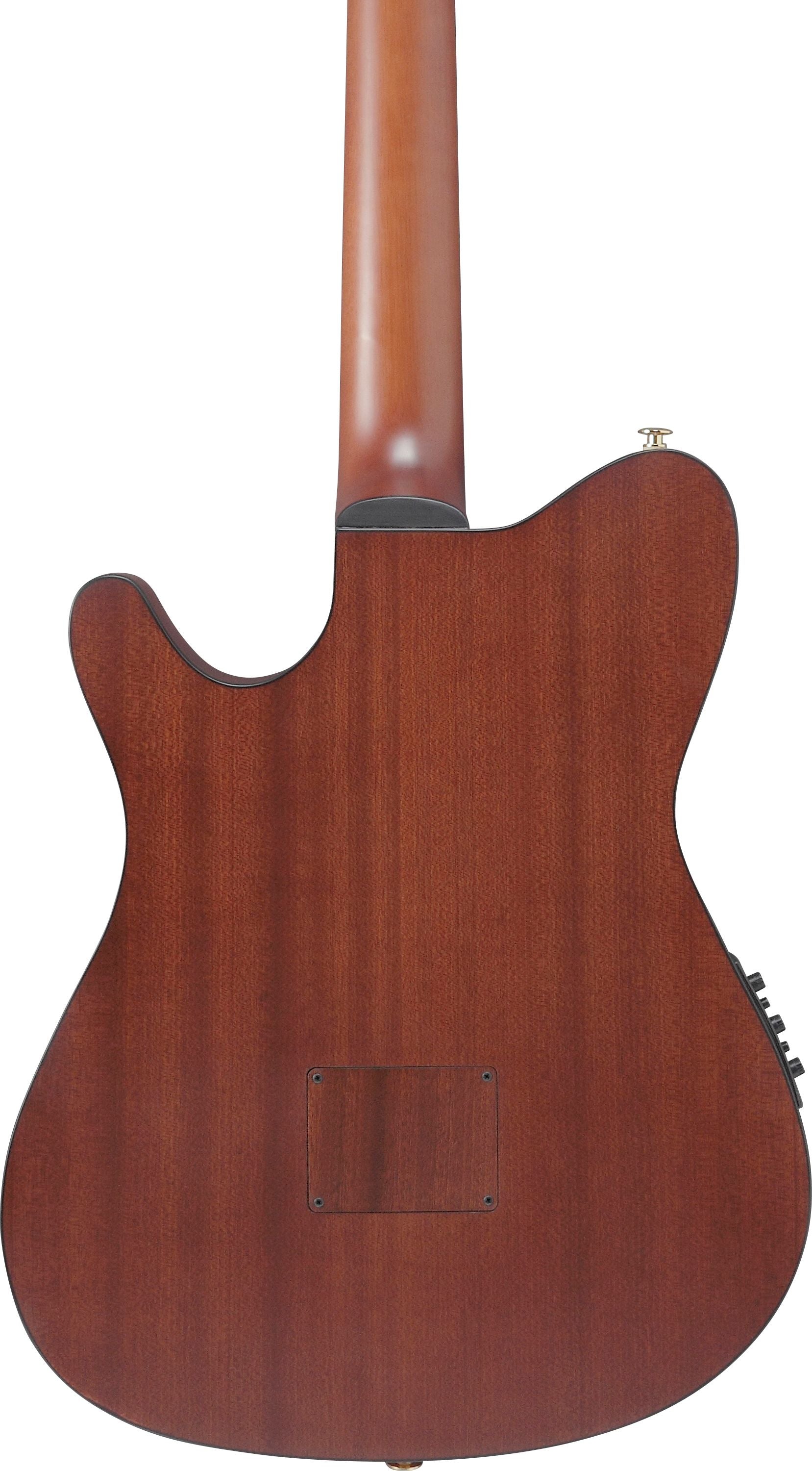 Ibanez Guitars - FRH10NNTF - Compact Nylon-String Guitar