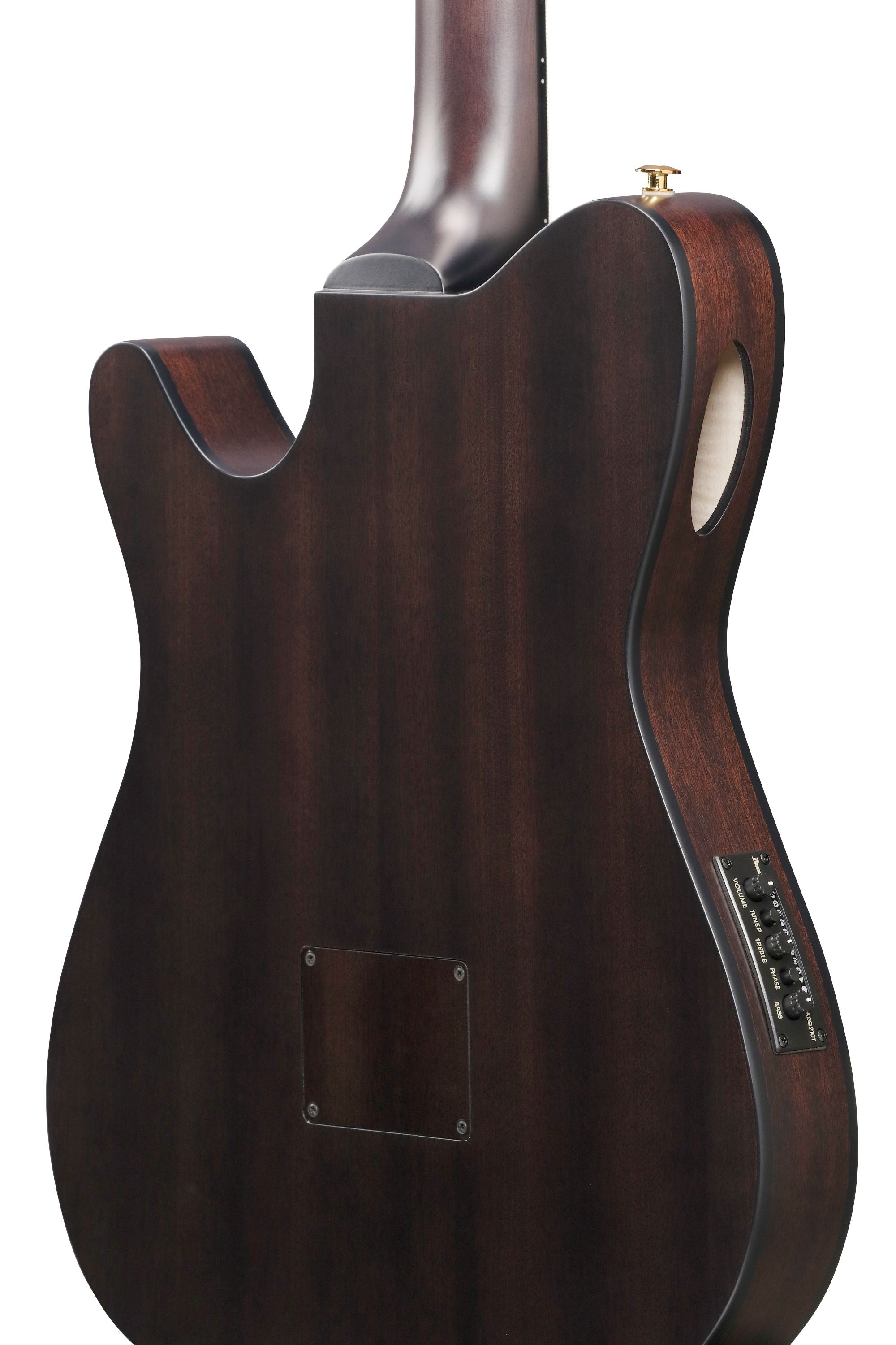 Ibanez Guitars - FRH20FMN - Thinline Nylon-string Acoustic-electric - Dark Emerald Burst Low Gloss