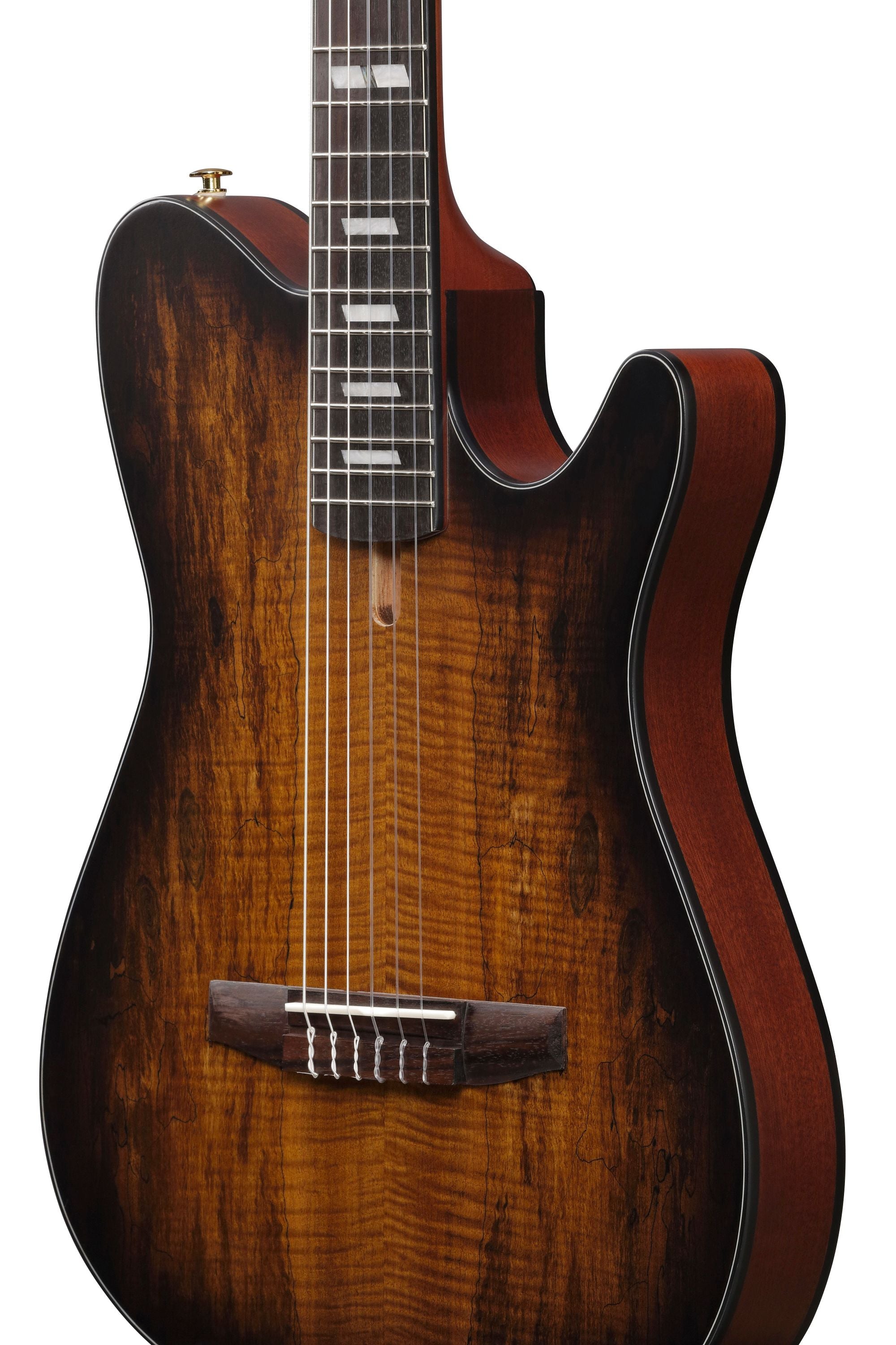 Ibanez Guitars - FRH20SMN - Thinline Nylon-string Acoustic-electric - Tobacco Burst Low Gloss