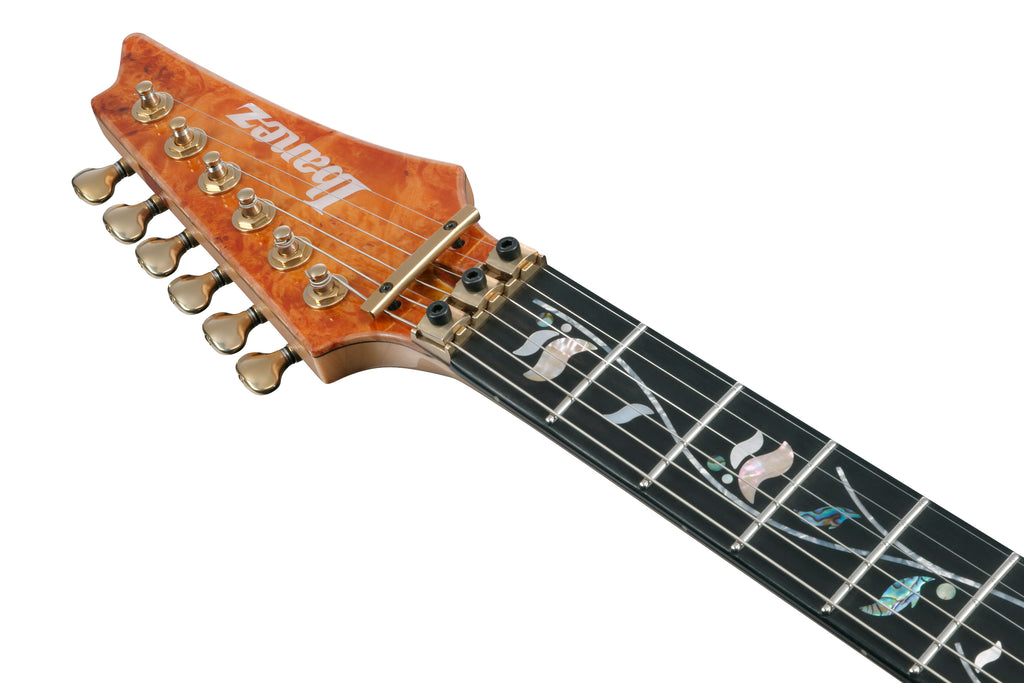 Ibanez Electric Guitar - RG Visions 6str Electric Guitar w/Case - IV1RG