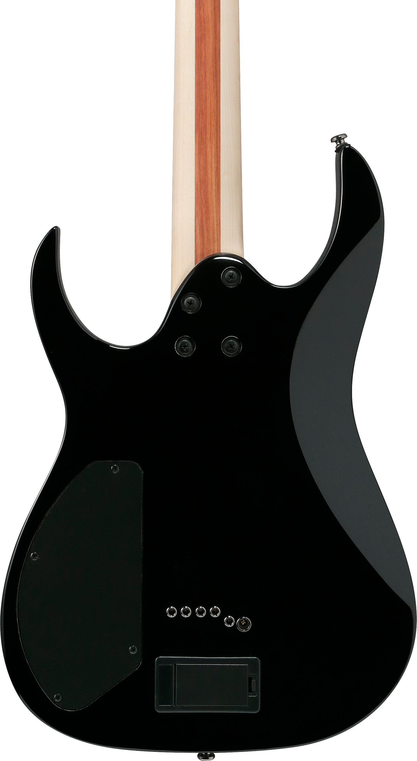 Ibanez Electric Guitar - RG Iron Label 6str Electric Guitar - Black - RGIB21BK