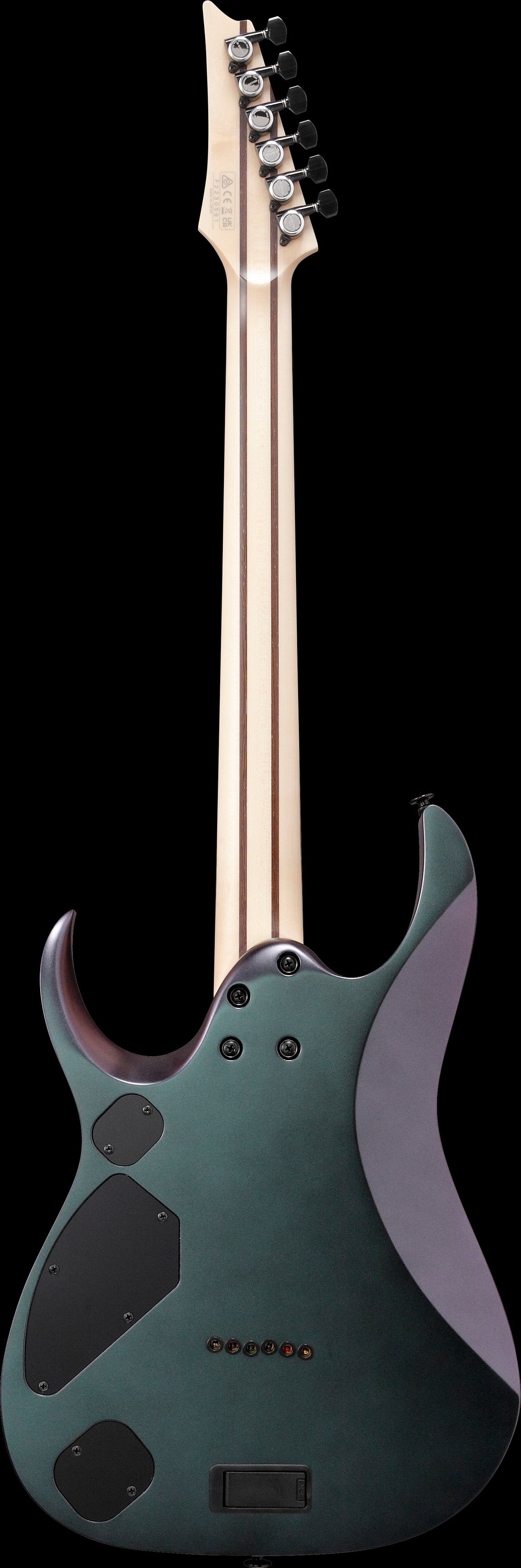 Ibanez Electric Guitar - RGD Prestige 6str Electric Guitar w/Case - Polar Lights Flat - RGD3121PRF