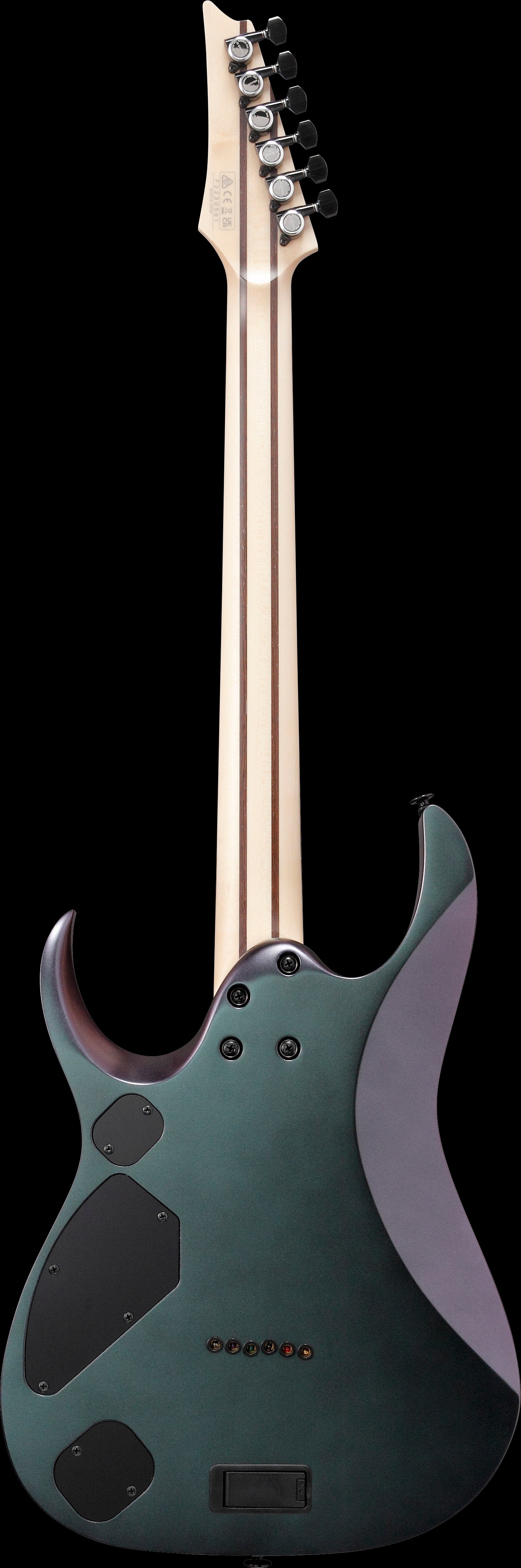 Ibanez Electric Guitar - RGD Prestige 6str Electric Guitar w/Case - Polar Lights Flat - RGD3121PRF