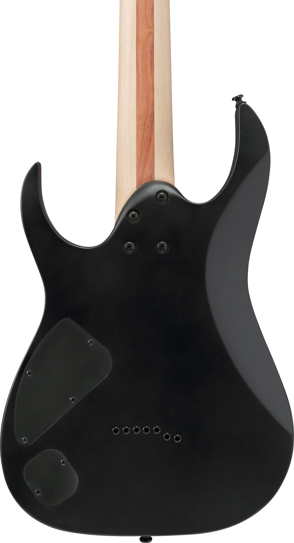 Ibanez Electric Guitar - RG Iron Label 6str Electric Guitar - Black Flat - RGIXL7BKF
