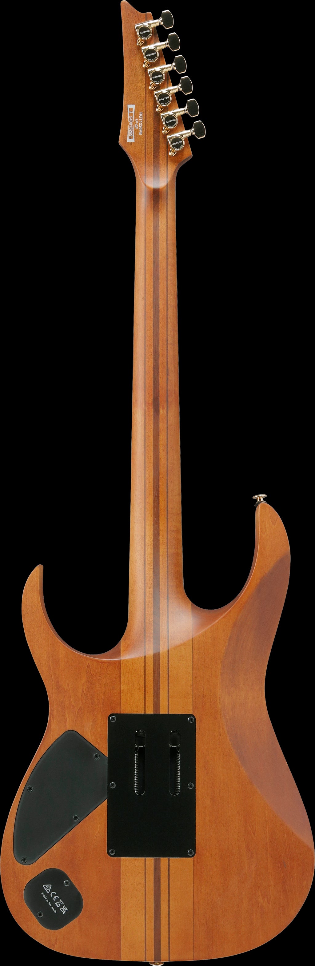 Ibanez Electric Guitar - RG Premium 6str Electric Guitar - Antique Brown Stained Flat - RGT1220PBABS