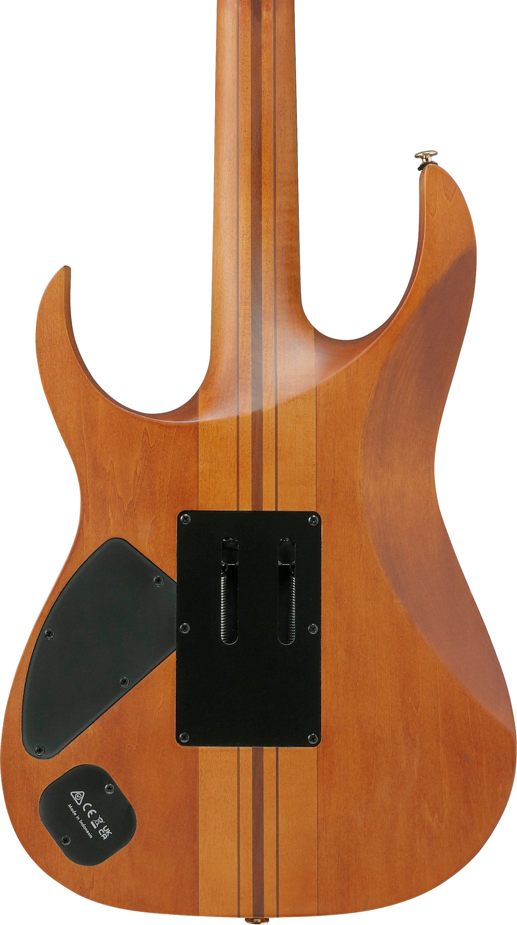 Ibanez Electric Guitar - RG Premium 6str Electric Guitar - Antique Brown Stained Flat - RGT1220PBABS