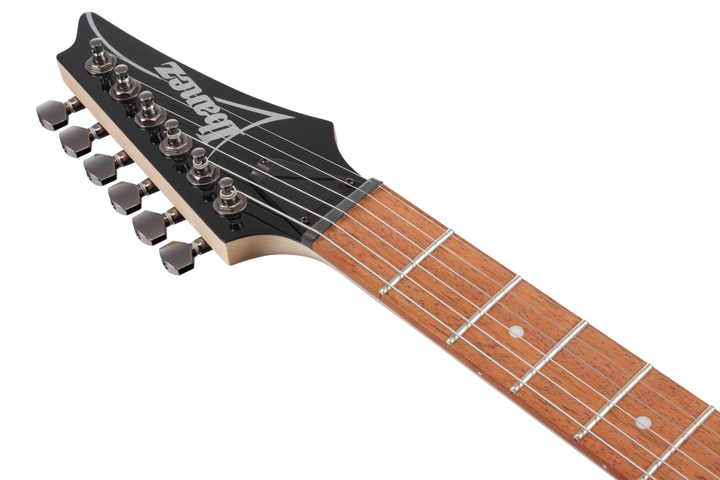 Ibanez Electric Guitar - RG Standard 6str Electric Guitar - Caribbean Shoreline Flat - RG421PBCHF