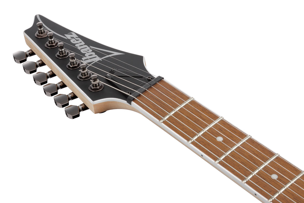 Ibanez Electric Guitar - RG Standard 6str Electric Guitar - Sea Shore Matte - RG421SSEM