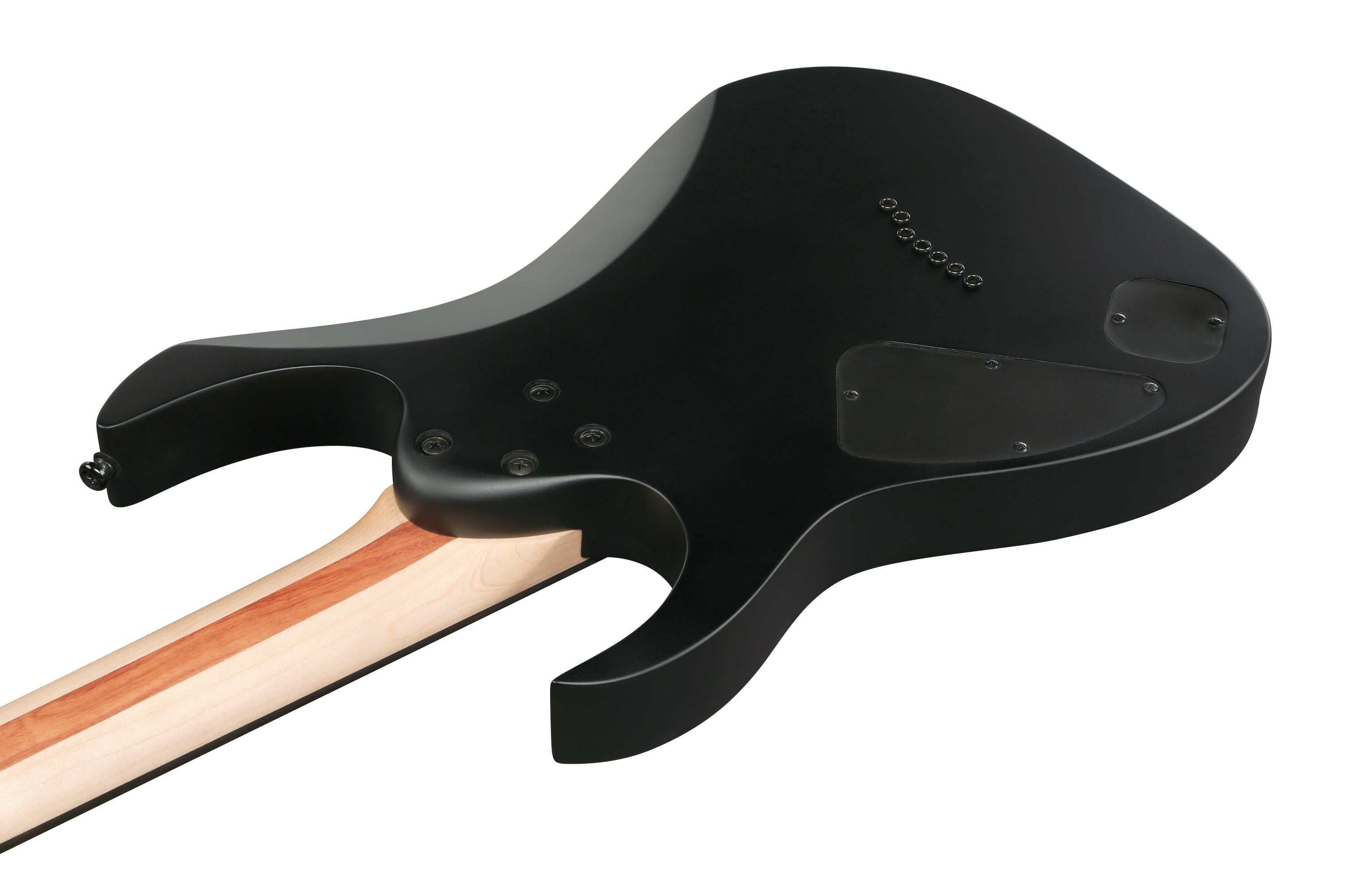 Ibanez Electric Guitar - RG Iron Label 6str Electric Guitar - Black Flat - RGIXL7BKF
