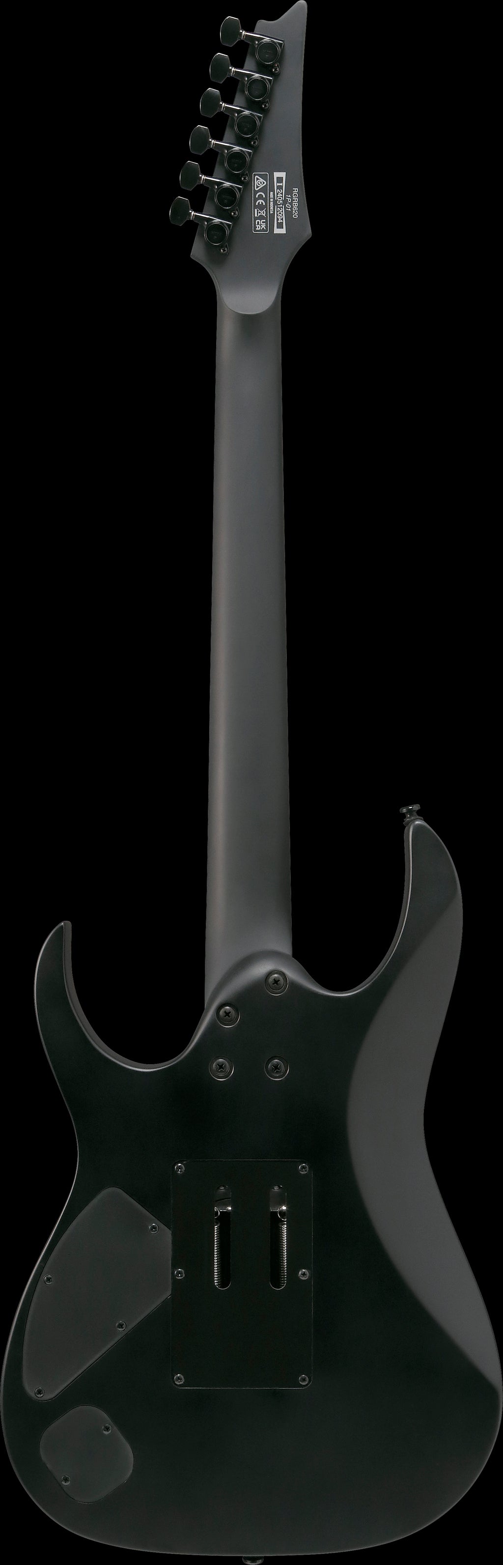 Ibanez Electric Guitar - RG Iron Label 6str Electric Guitar - Black - RGRB620BKF