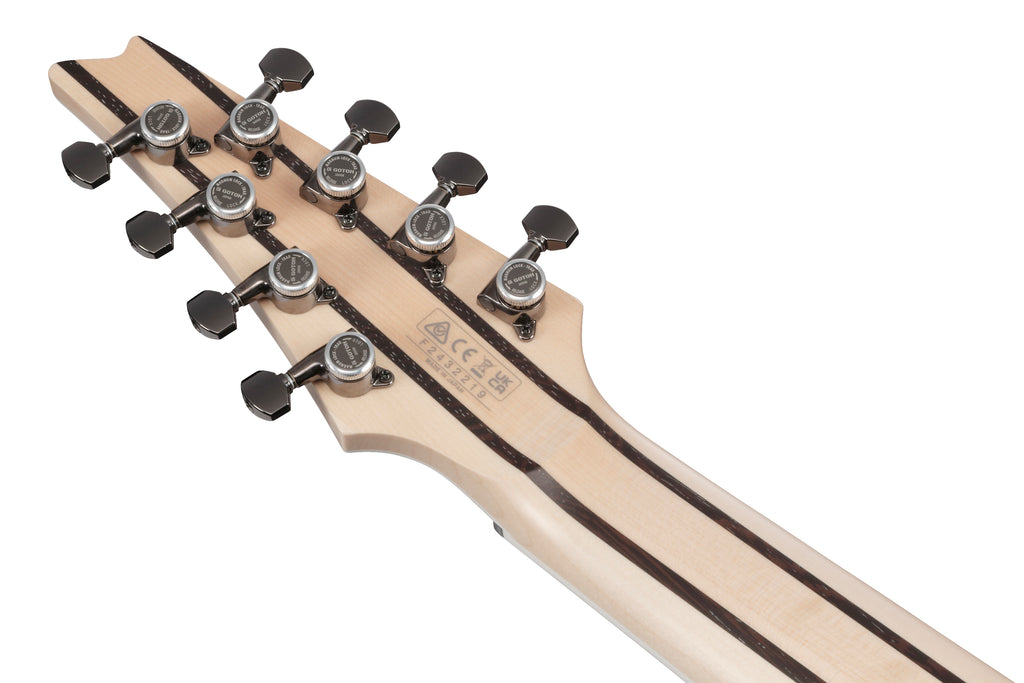 Ibanez Electric Guitar - RG Prestige 8str Electric Guitar w/Case - Lightning Through A Dark - RG5328LDK