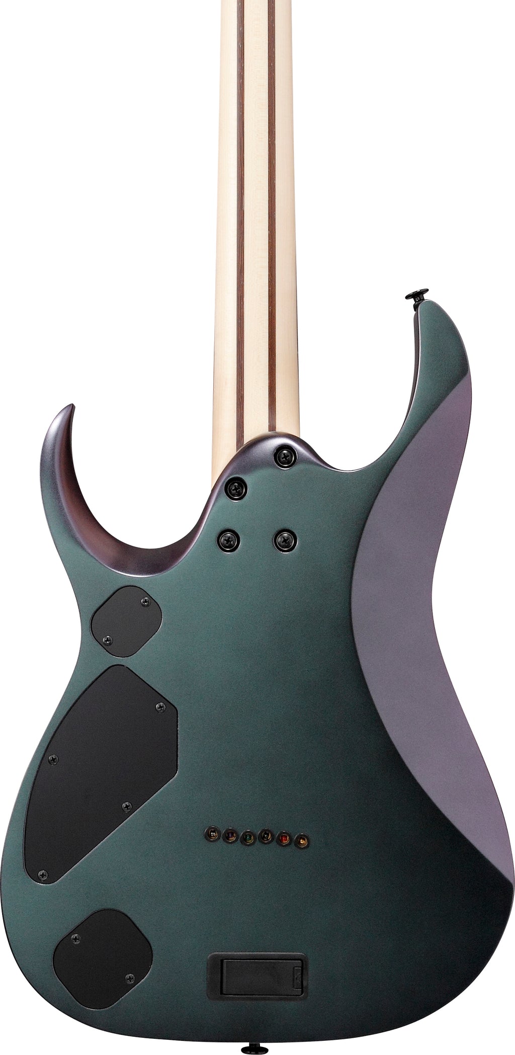 Ibanez Electric Guitar - RGD Prestige 6str Electric Guitar w/Case - Polar Lights Flat - RGD3121PRF