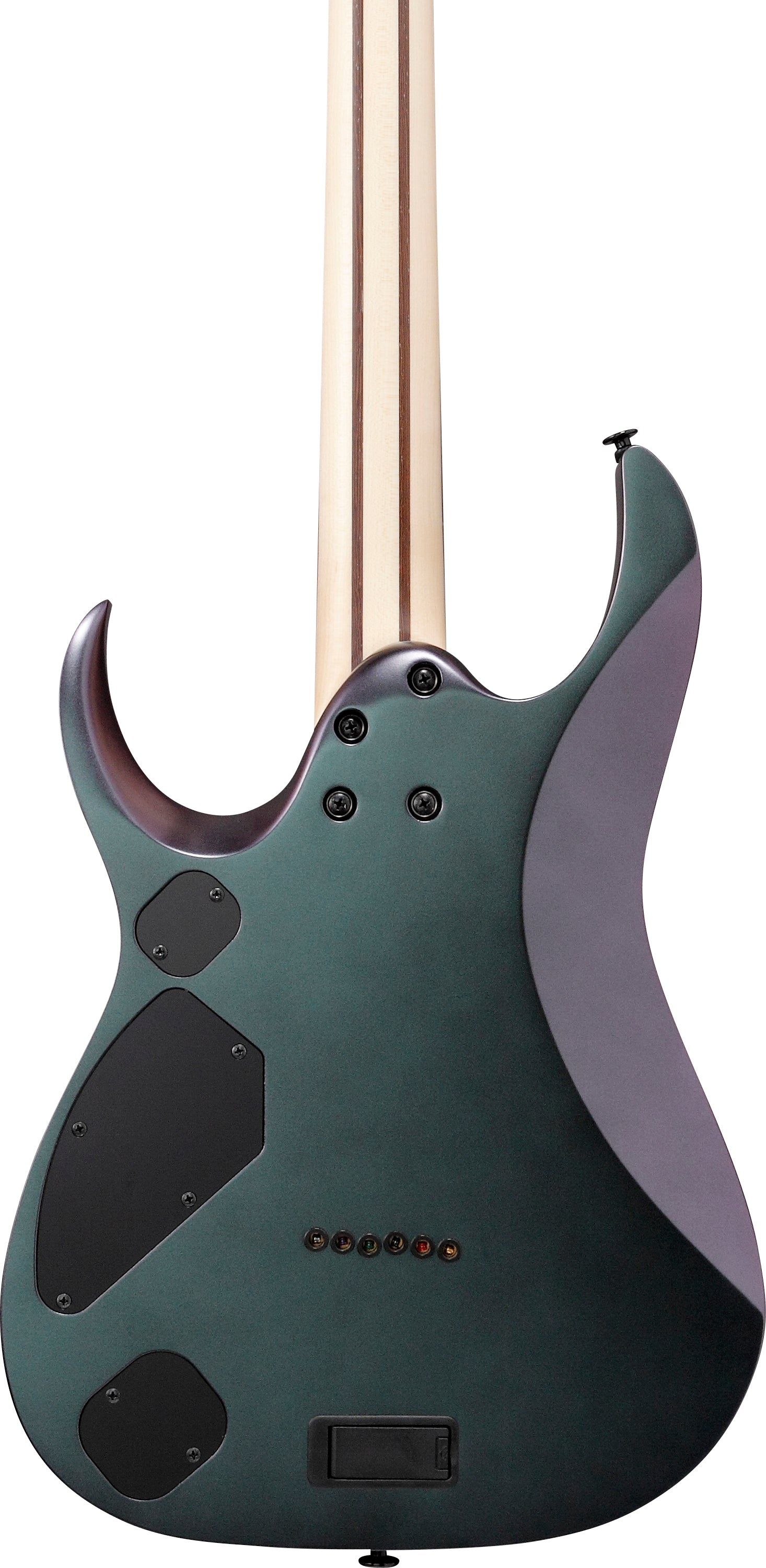 Ibanez Electric Guitar - RGD Prestige 6str Electric Guitar w/Case - Polar Lights Flat - RGD3121PRF