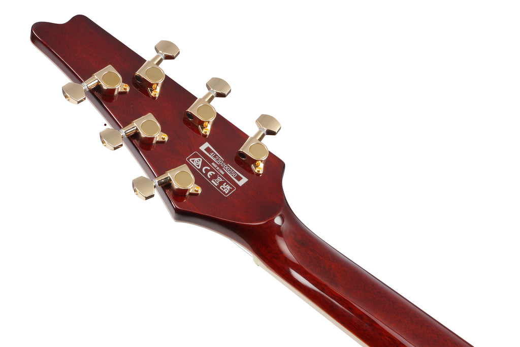 Ibanez Electric Guitar - Iceman 6str Electric Guitar w/Bag - Violin Sunburst - IC420FMVLS