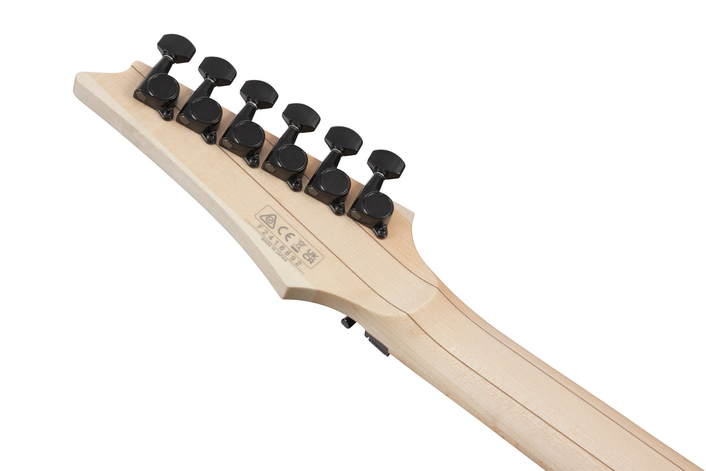Ibanez Electric Guitar - RG Genesis Collection 6str Electric Guitar - Black - RG550BK