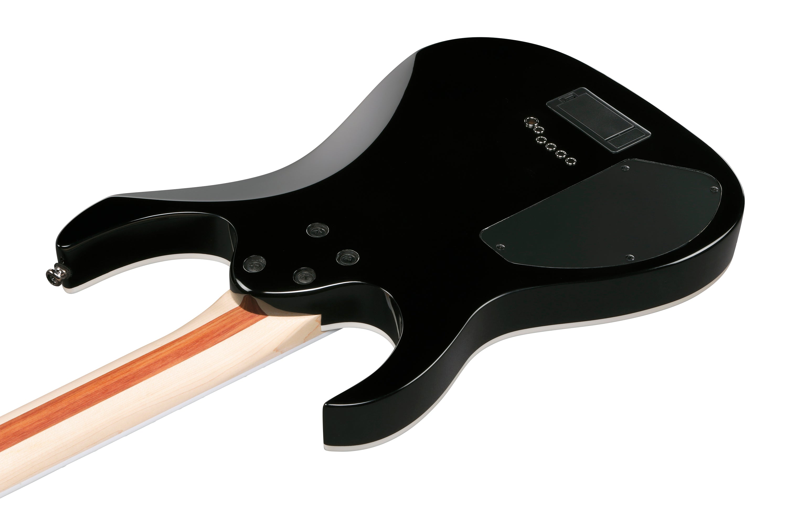 Ibanez Electric Guitar - RG Iron Label 6str Electric Guitar - Black - RGIB21BK