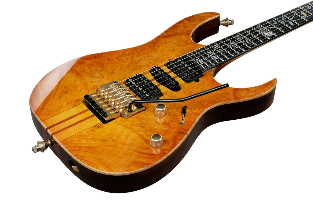 Ibanez Electric Guitar - RG Visions 6str Electric Guitar w/Case - IV1RG