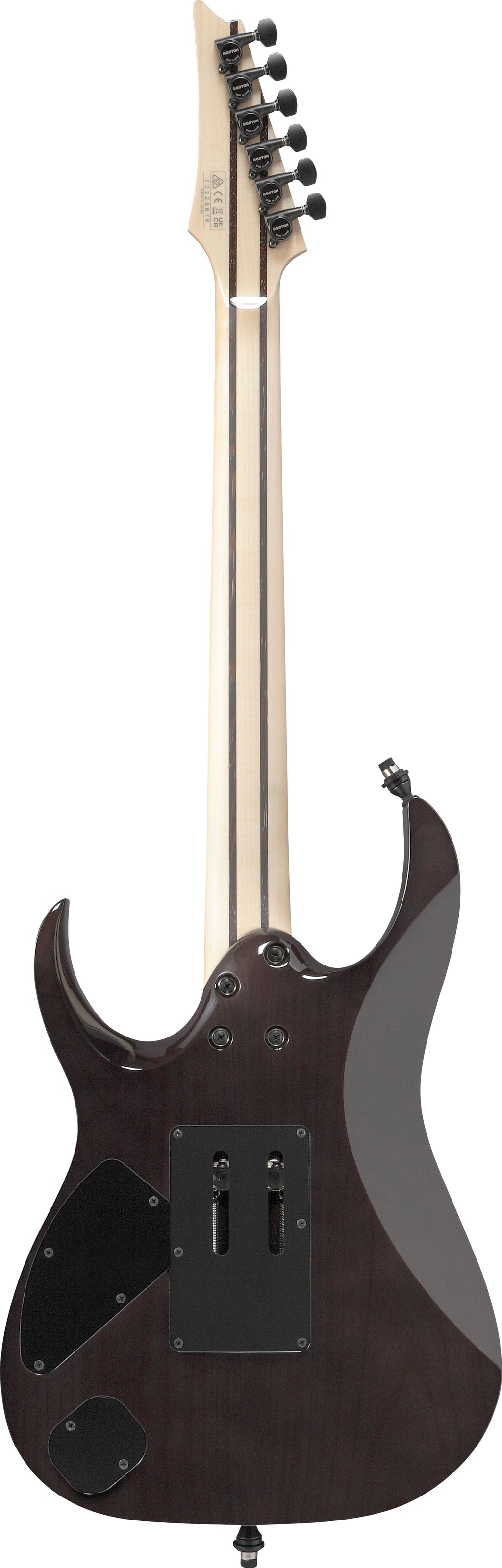 Ibanez Electric Guitar - RG j.custom Axe Desing Lab 6str Electric Guitar w/Case - Black Rutile - RG8870BRE