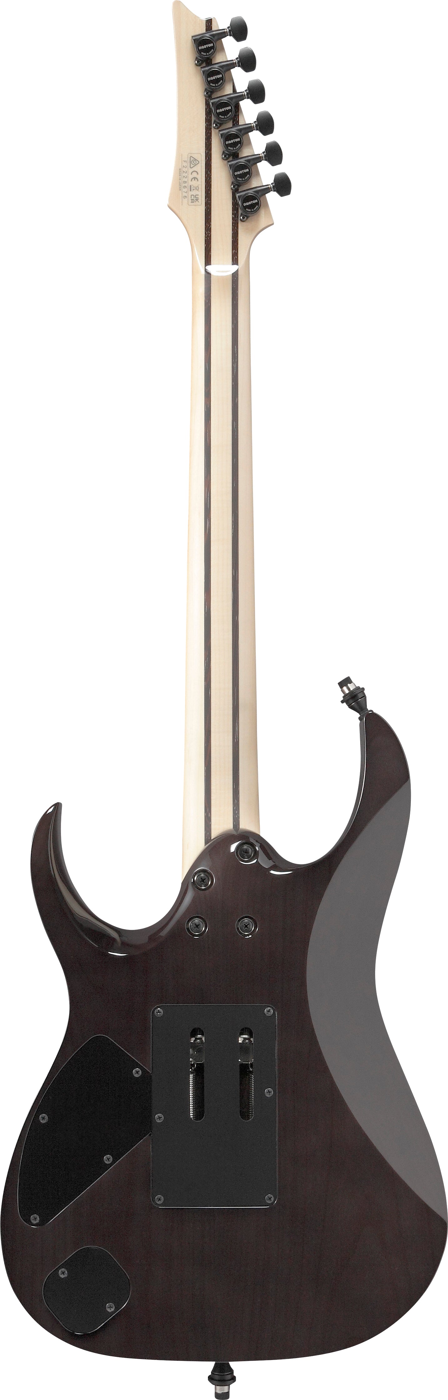 Ibanez Electric Guitar - RG j.custom Axe Desing Lab 6str Electric Guitar w/Case - Black Rutile - RG8870BRE