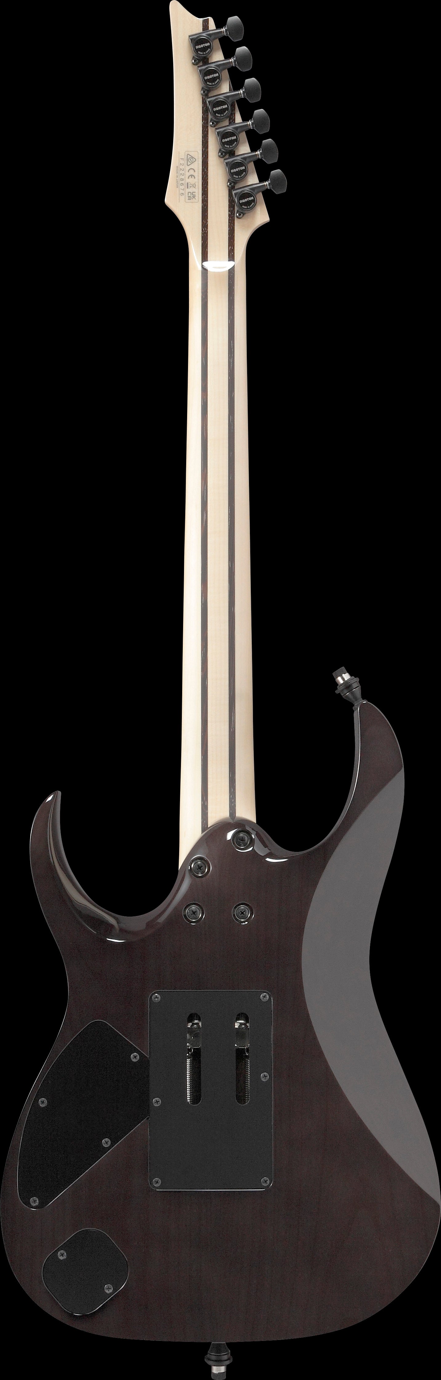Ibanez Electric Guitar - RG j.custom Axe Desing Lab 6str Electric Guitar w/Case - Black Rutile - RG8870BRE