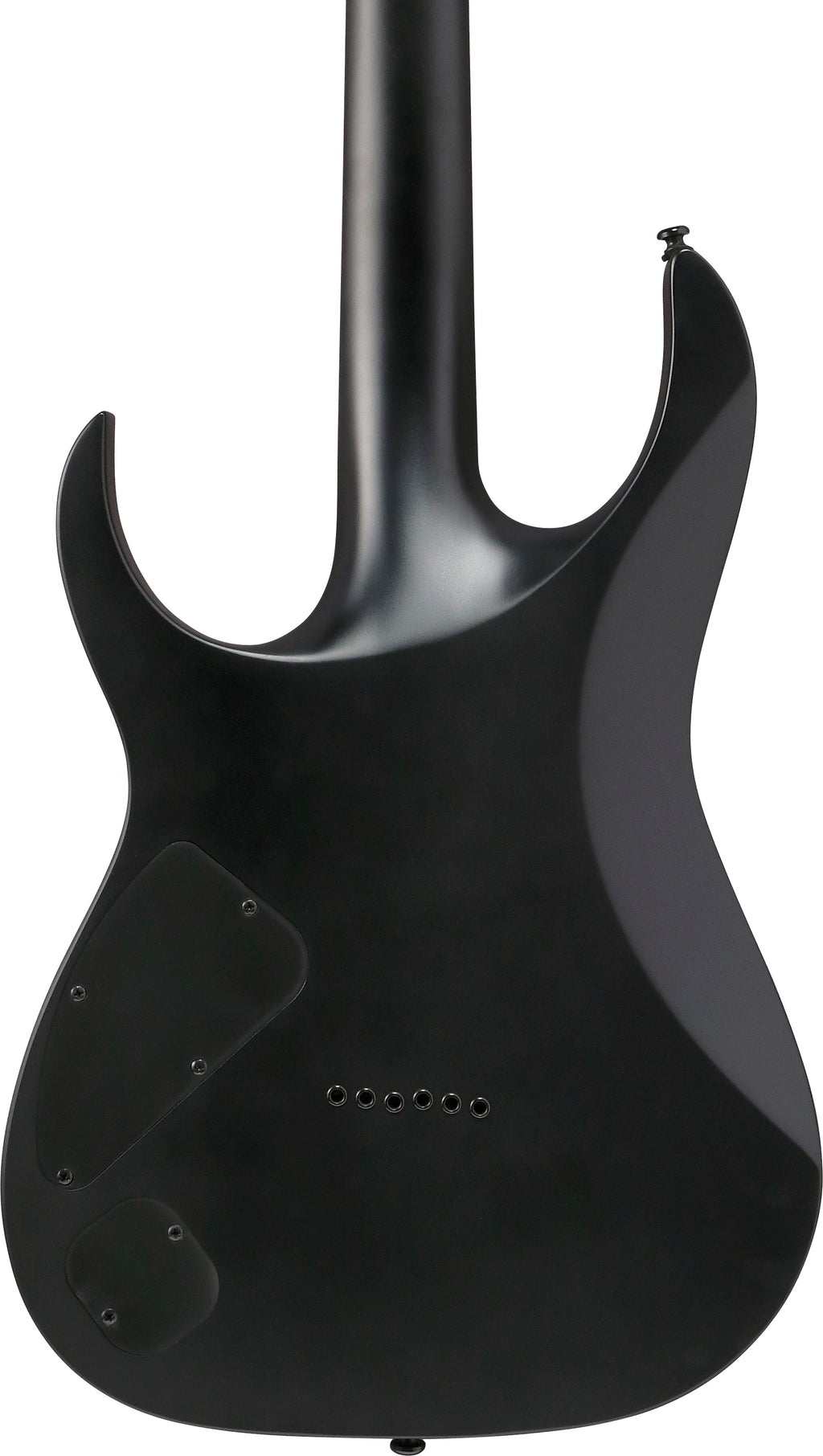 Ibanez Electric Guitar - RG Iron Label 6str Electric Guitar - Black Flat - RGRTB621BKF