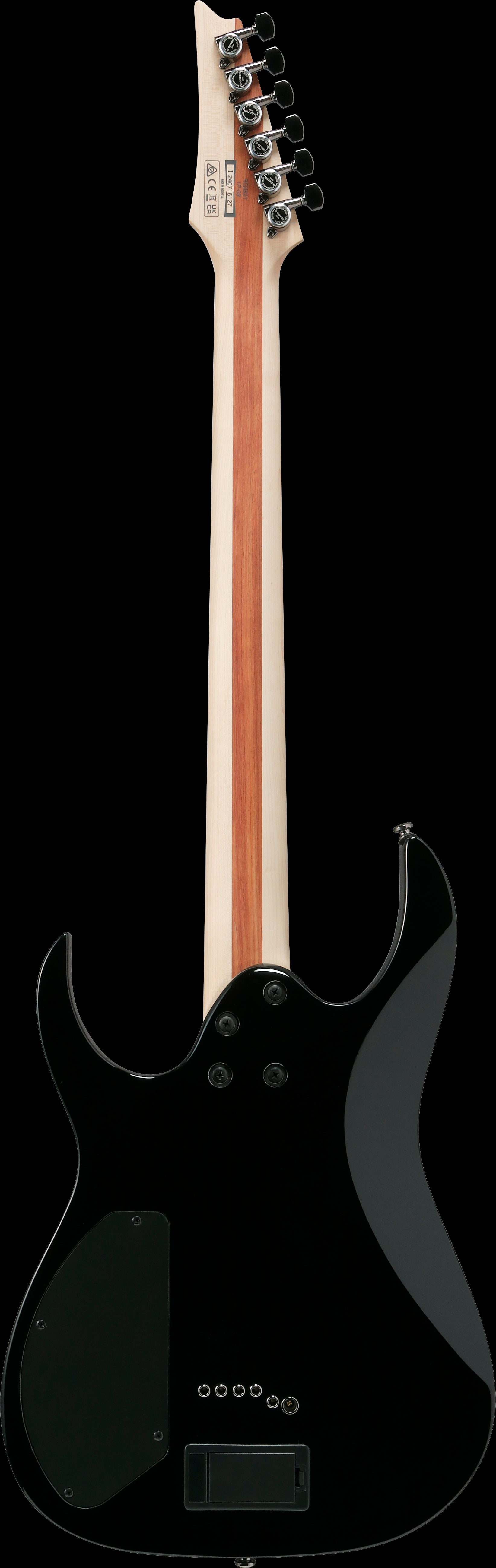 Ibanez Electric Guitar - RG Iron Label 6str Electric Guitar - Black - RGIB21BK