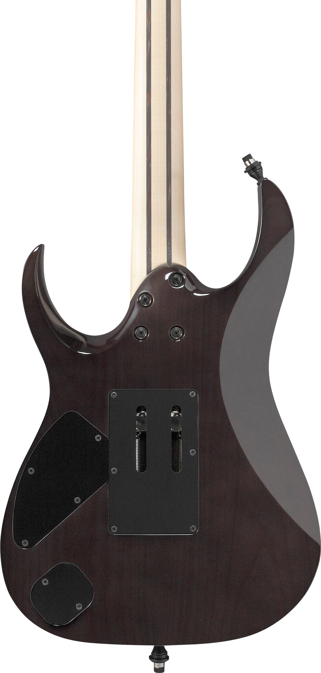 Ibanez Electric Guitar - RG j.custom Axe Desing Lab 6str Electric Guitar w/Case - Black Rutile - RG8870BRE