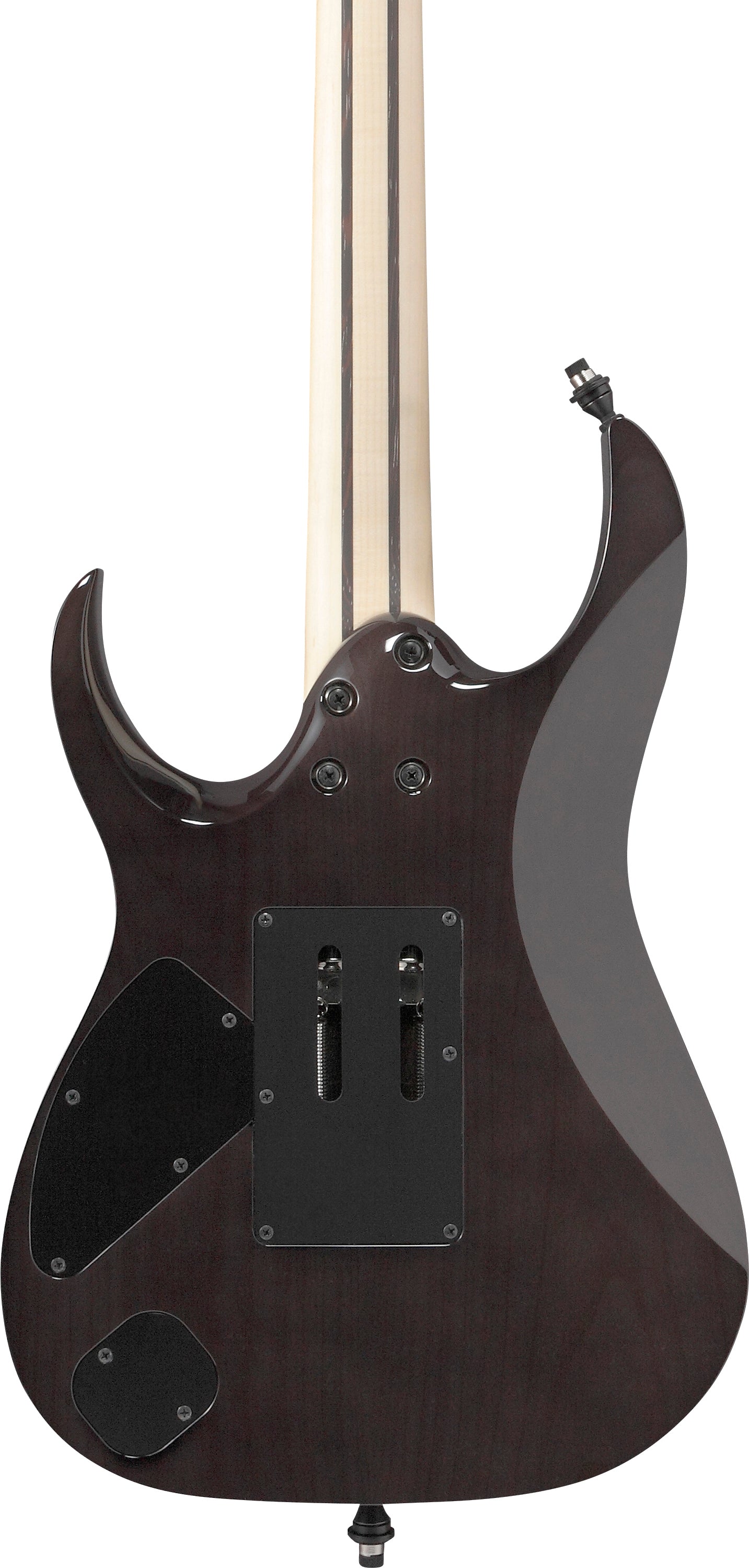 Ibanez Electric Guitar - RG j.custom Axe Desing Lab 6str Electric Guitar w/Case - Black Rutile - RG8870BRE