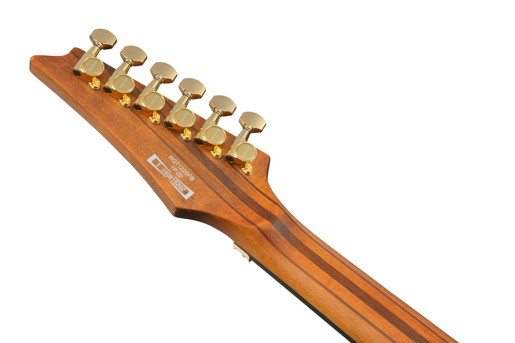 Ibanez Electric Guitar - RG Premium 6str Electric Guitar - Antique Brown Stained Flat - RGT1220PBABS