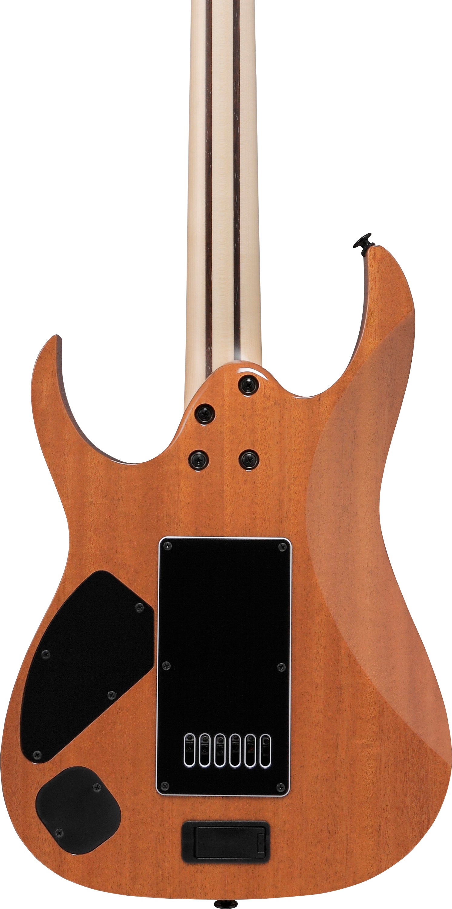 Ibanez Electric Guitar - RG Prestige 6str Electric Guitar w/Case - Polar Lights Flat - RG5121ETPRT