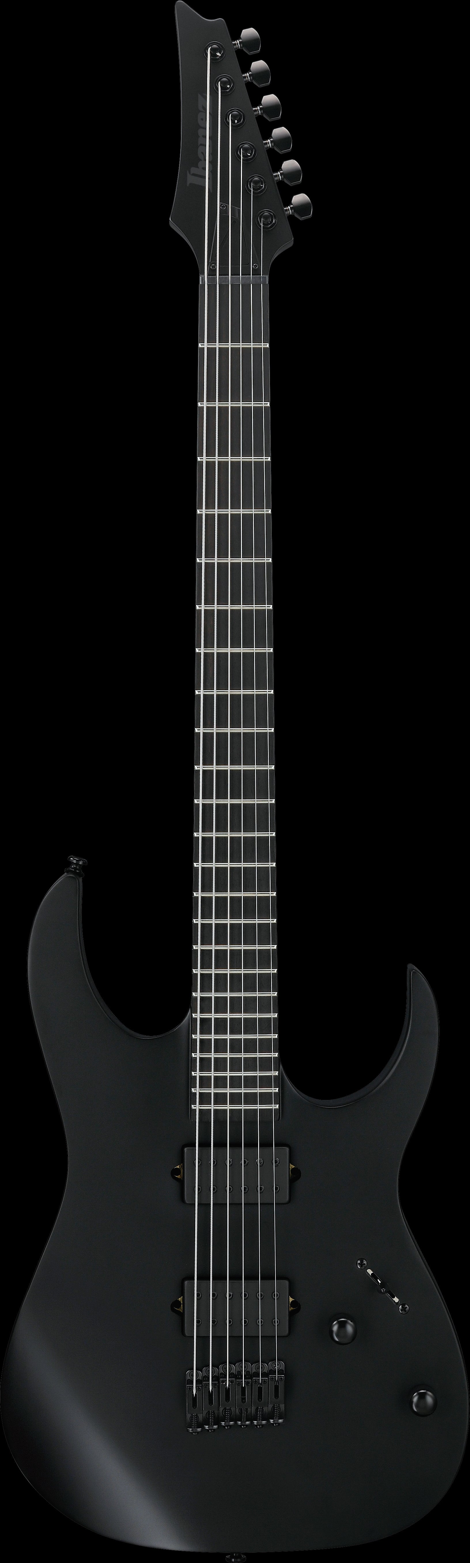 Ibanez Electric Guitar - RG Iron Label 6str Electric Guitar - Black Flat - RGRTBB21BKF