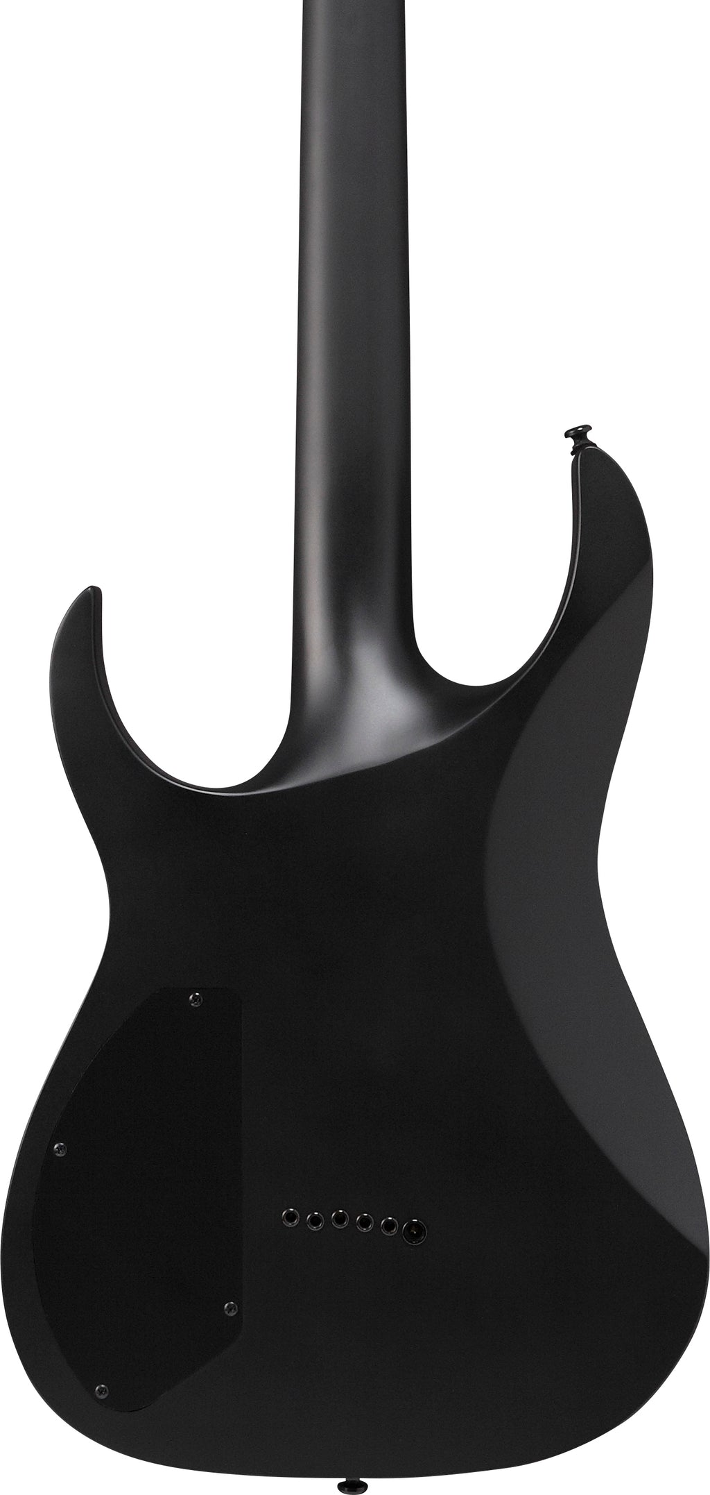 Ibanez Electric Guitar - RG Iron Label 6str Electric Guitar - Black Flat - RGRTBB21BKF