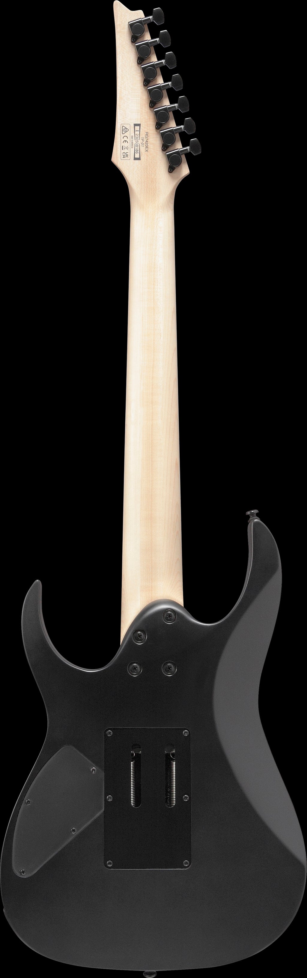 Ibanez Electric Guitar - RG Standard 7str Electric Guitar - Black Flat - RG7420EXBKF