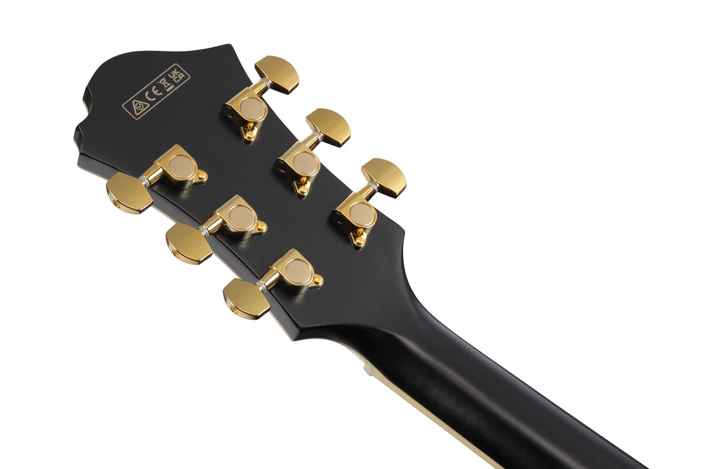 Ibanez Electric Guitar - Pat Metheny Signature 6str Electric Guitar w/Case - Black Low Gloss - PM3CBKL