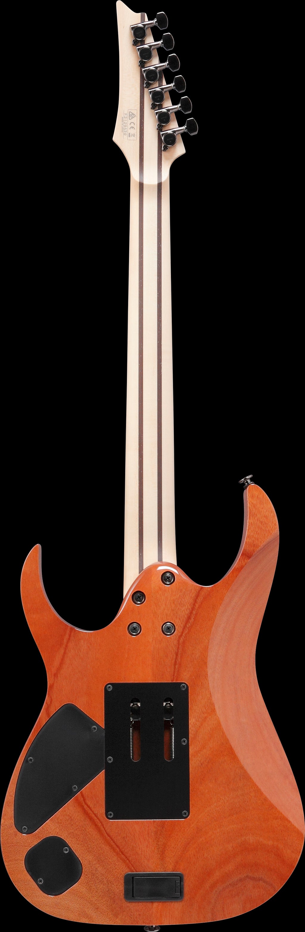 Ibanez Electric Guitar - RG Prestige 6str Electric Guitar - Polar Lights - RG5120MPRT