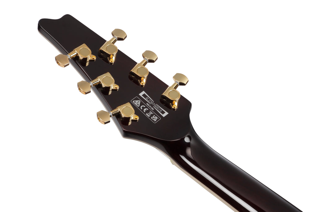 Ibanez Electric Guitar - Iceman 6str Electric Guitar w/Bag - Antique Autumn Burst - IC420AAB