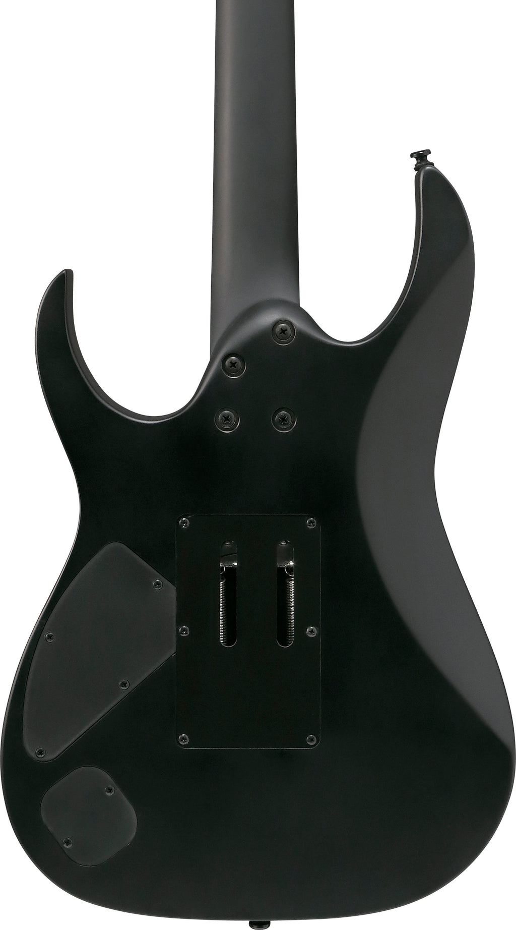 Ibanez Electric Guitar - RG Iron Label 6str Electric Guitar - Black - RGRB620BKF