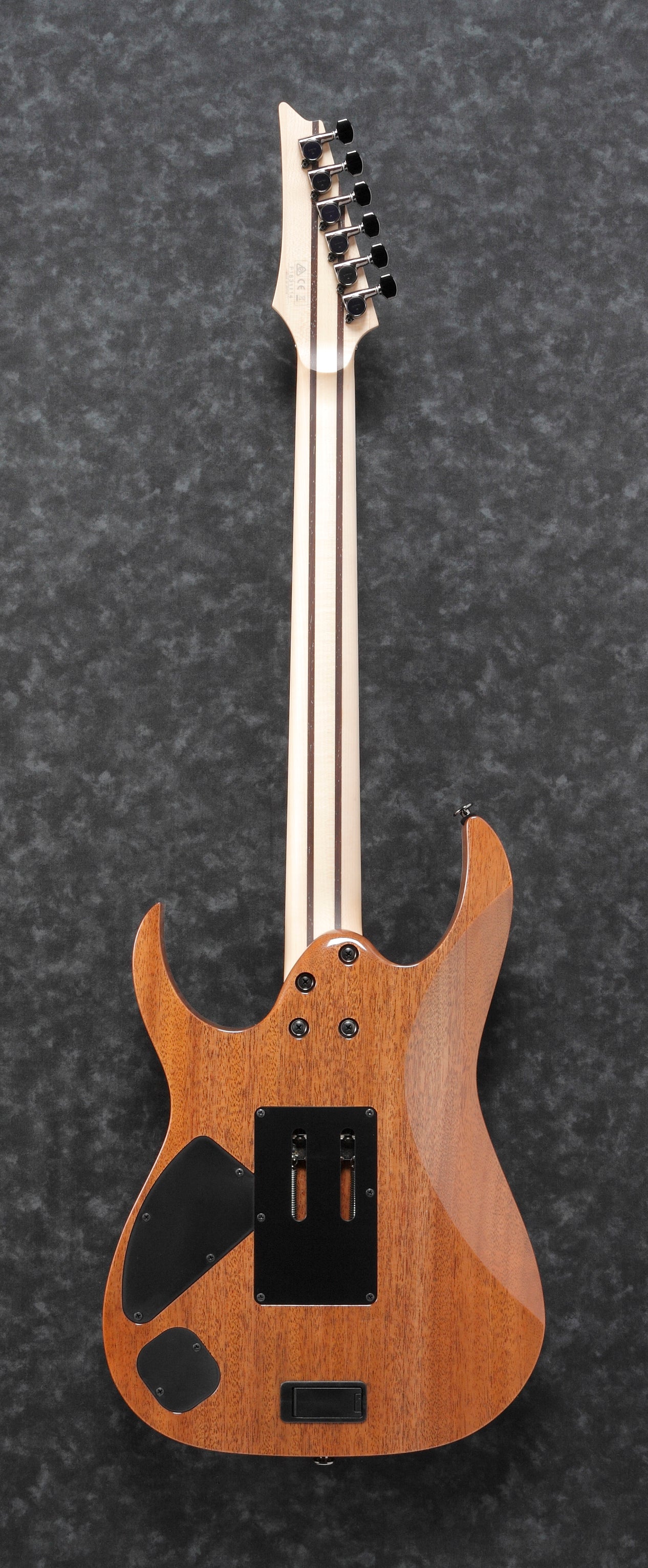 Ibanez Electric Guitar - RG Prestige 6str Electric Guitar w/Case - Frozen Ocean - RG5120MFCN